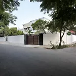Mimosa Udaipur