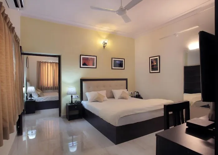 Mimosa Udaipur
