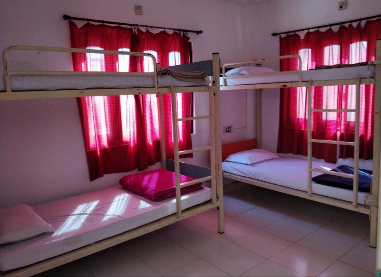 The Crown Hostel Udaipur