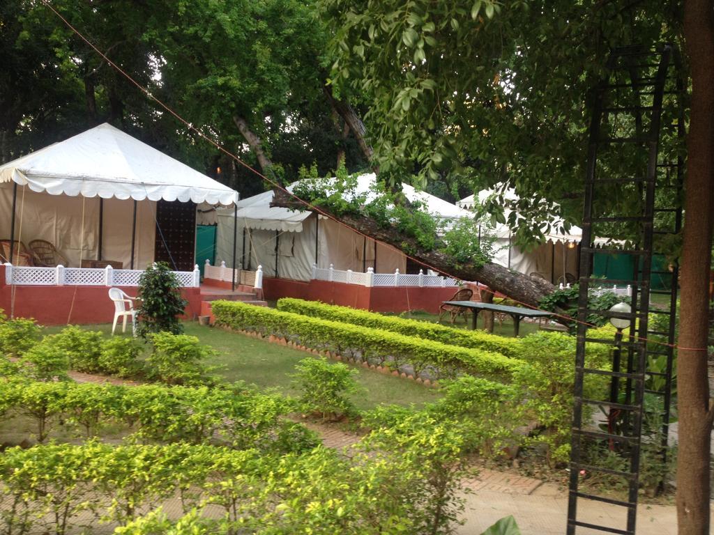 The Aravali Tent Resort 3*