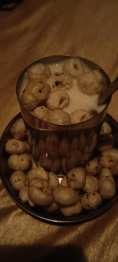 Sanjana's Udaipur