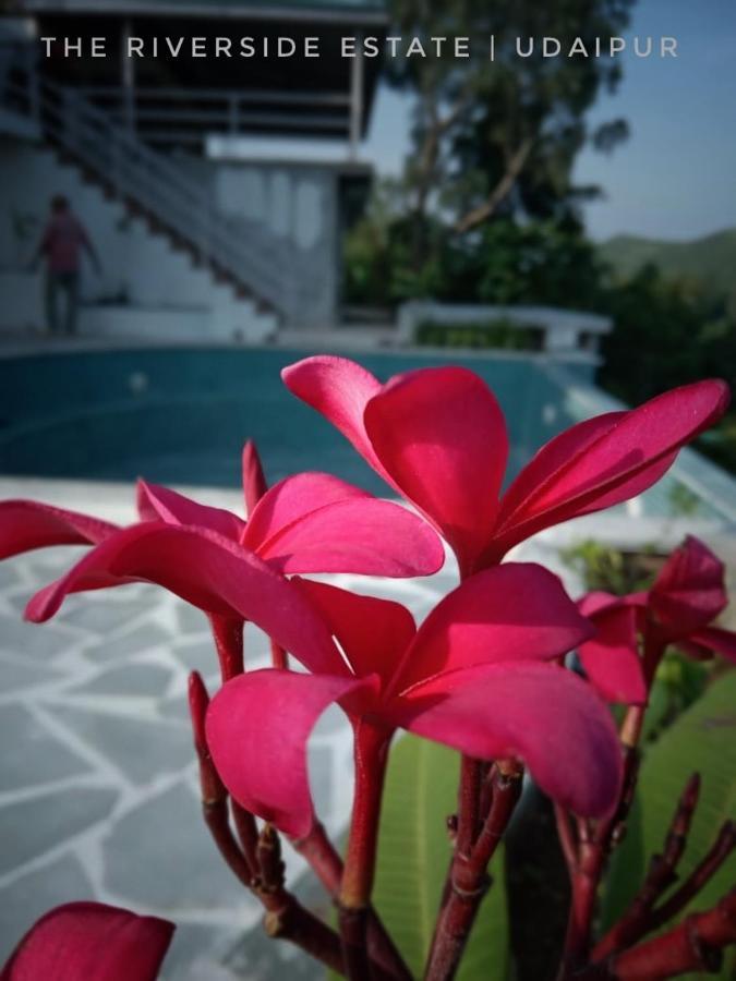 Villa The Riverside Estate - 3bedroom Private Pool In