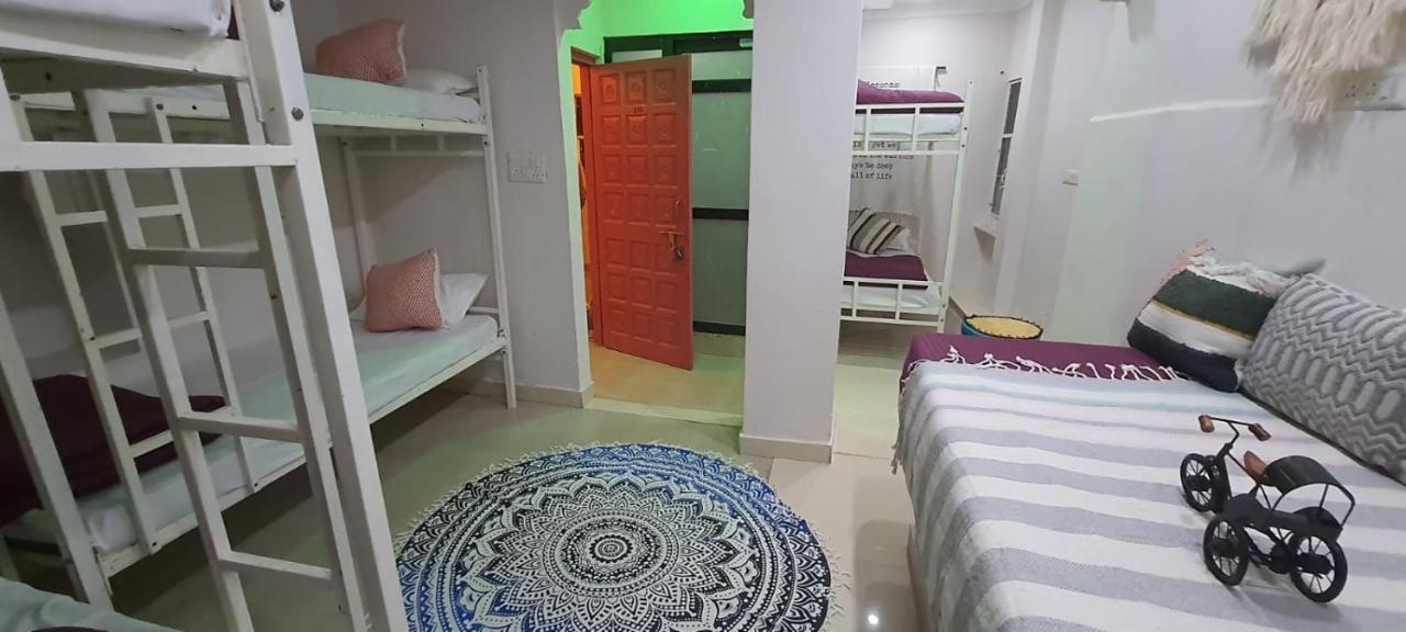 Zodiac Hostel Udaipur