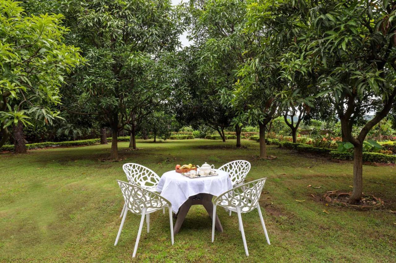 Villa Stayvista's Prakriti Farms With Outdoor Pool, Complimentary Breakfast And Hi-tea Udaipur