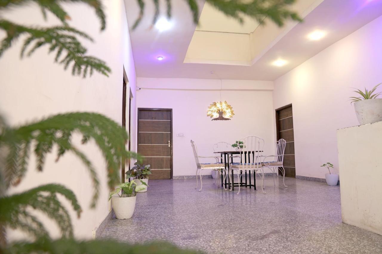 Tree Of Heaven Hotel Udaipur