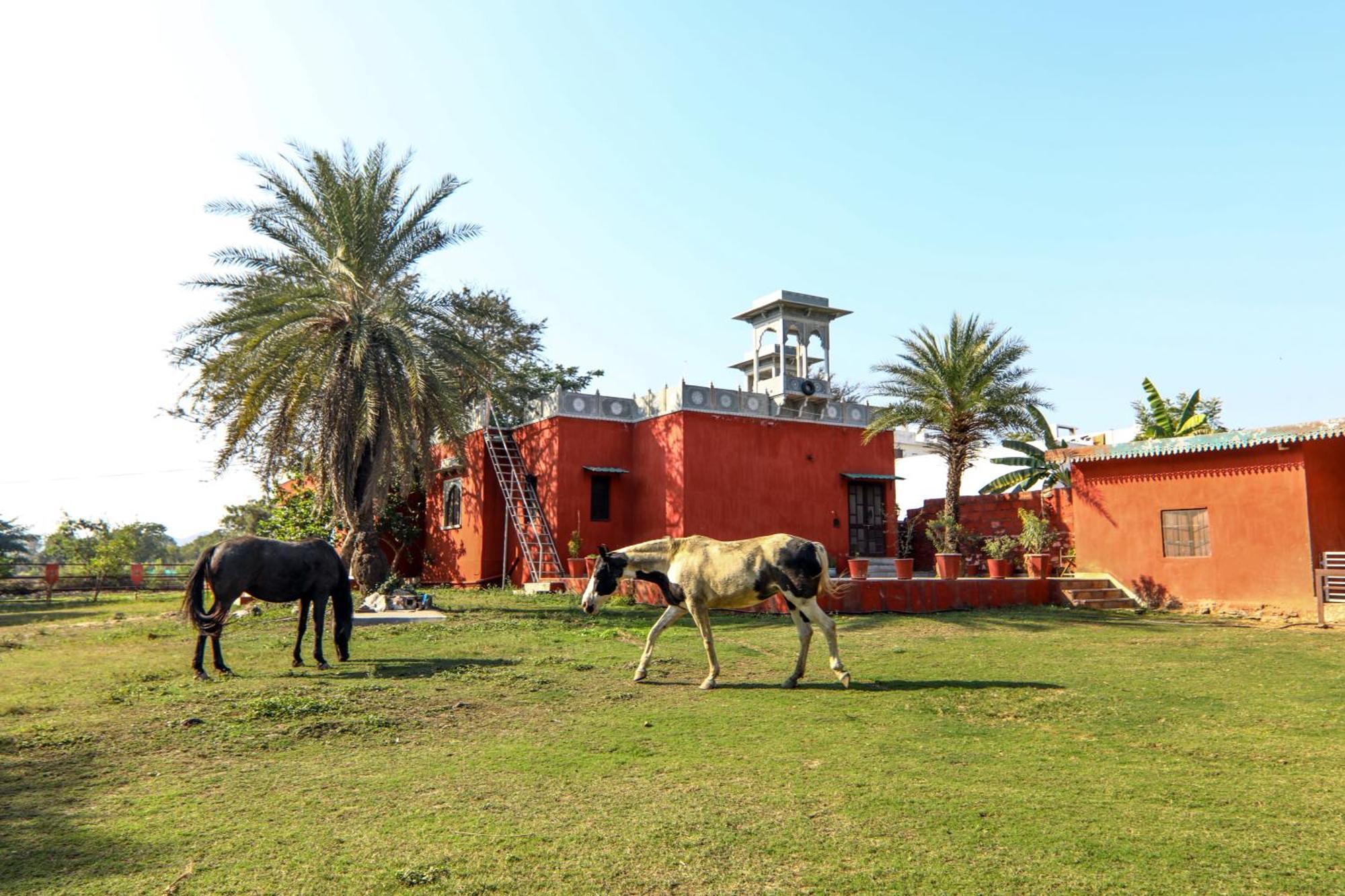Boheda Villa, Hotel Udaipur
