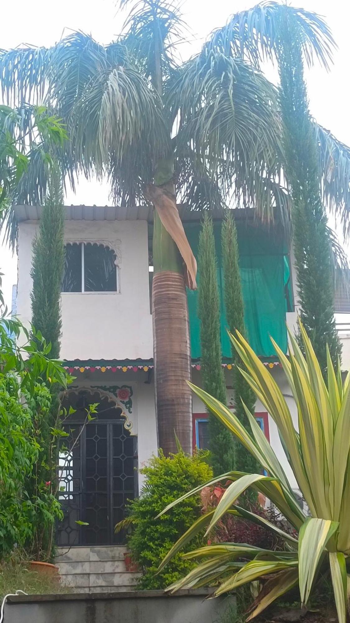 Hostel Mohan Udaipur