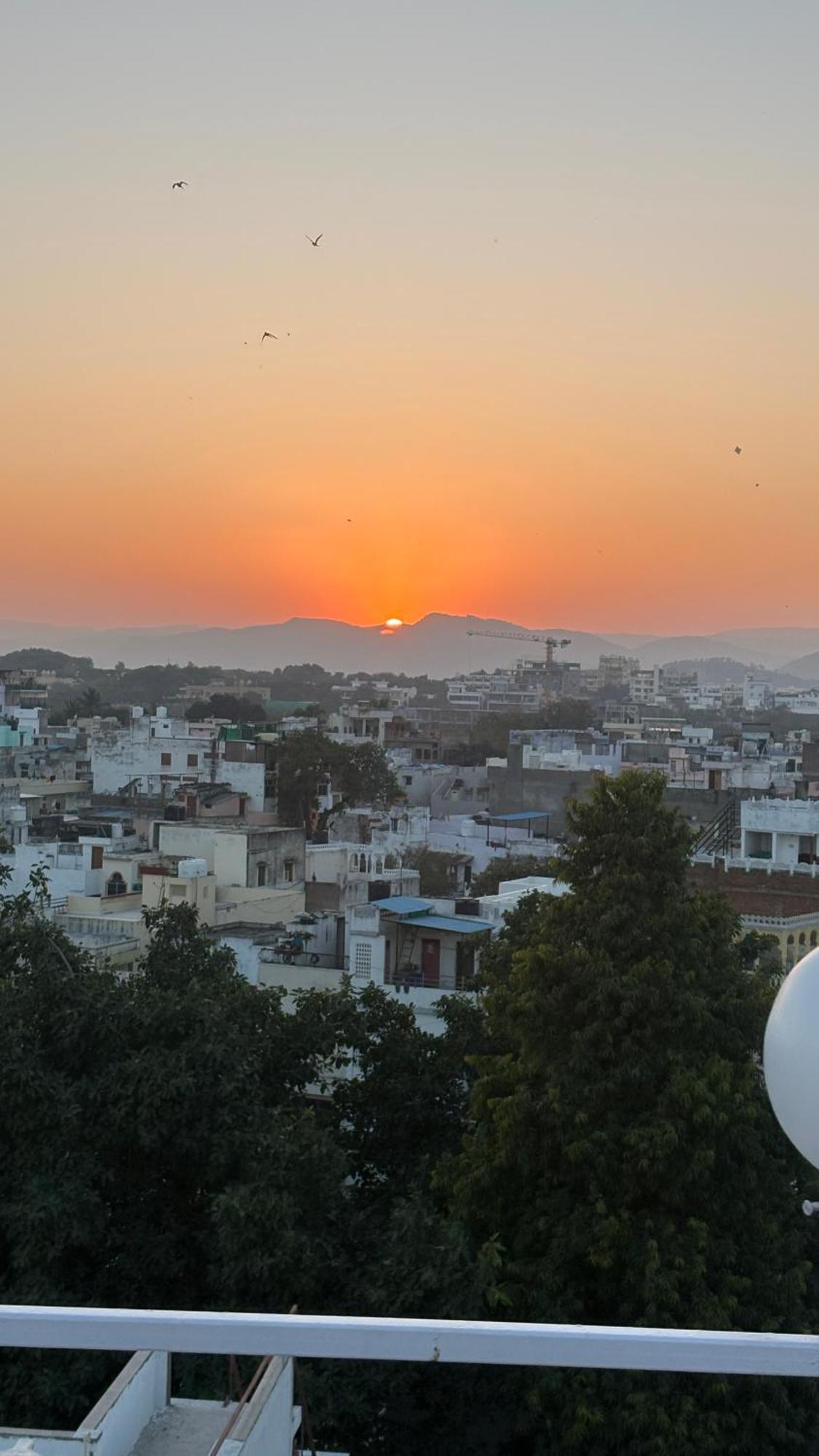 Multiple Stories, Hostel *