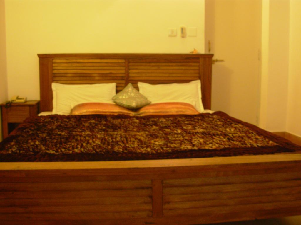 Hotel Natural Udaipur