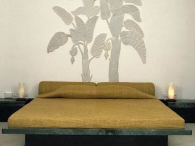 Hotel Devi Garh 5*