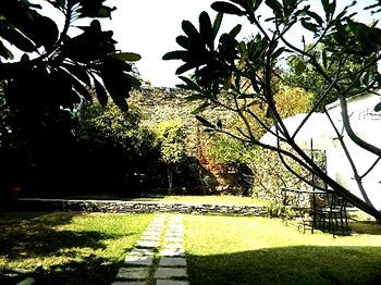 Hibiscus 3* Udaipur