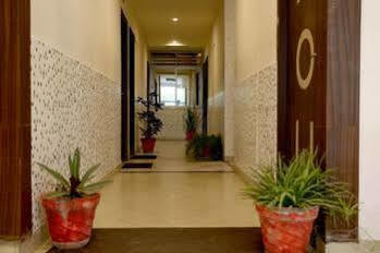 Hotel Oyo 1159 Hotel Chandra Prakash Udaipur