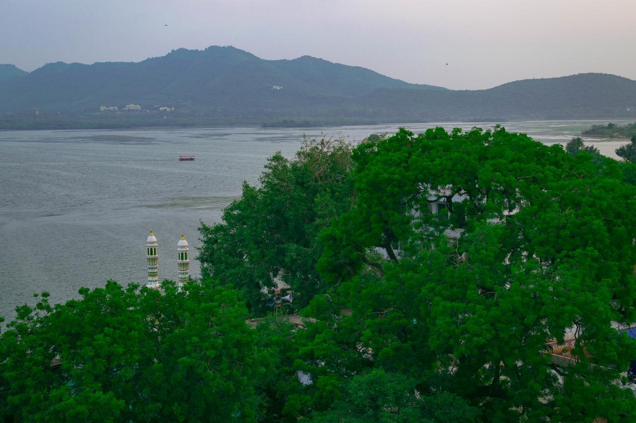 The Crawl Udaipur