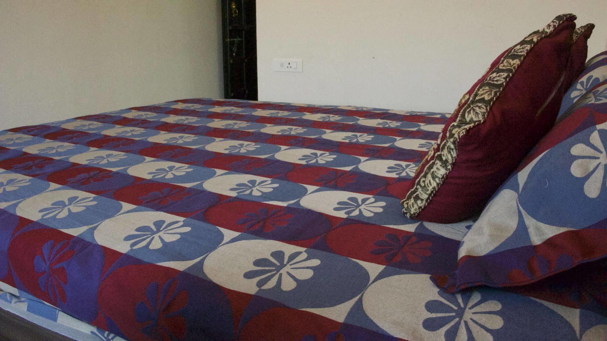 Madpackers Hotel Udaipur