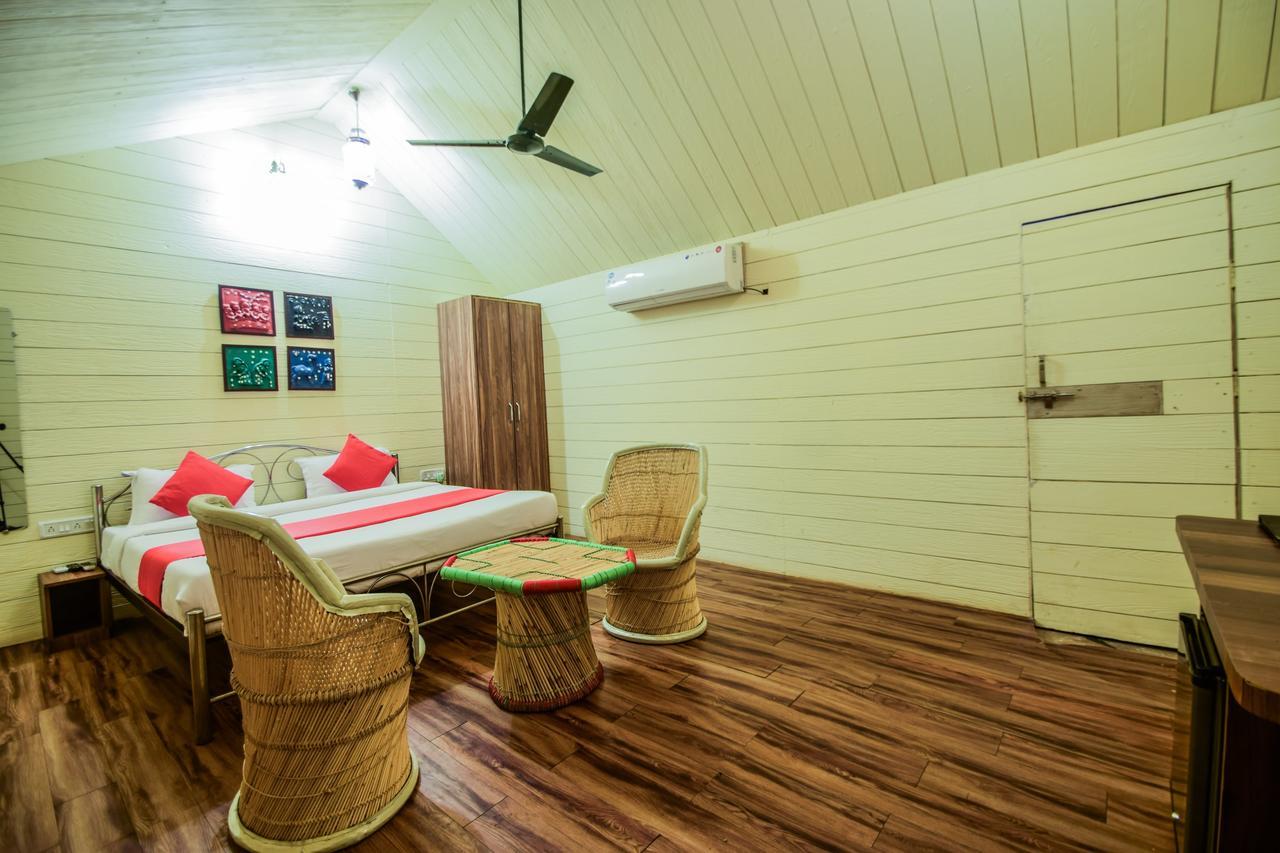 The Space Jungle Retreat