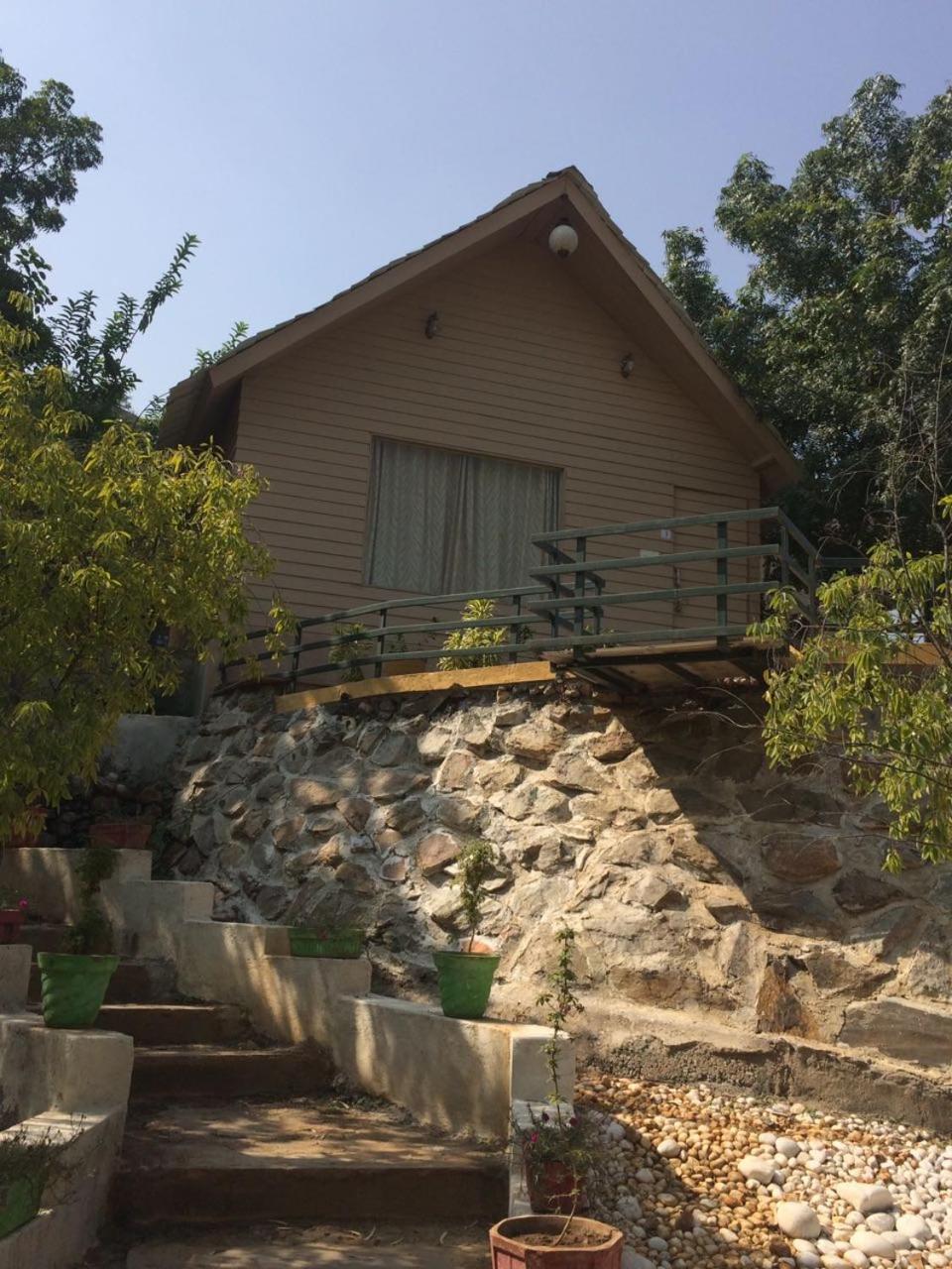 The Space Jungle Retreat Resort Udaipur