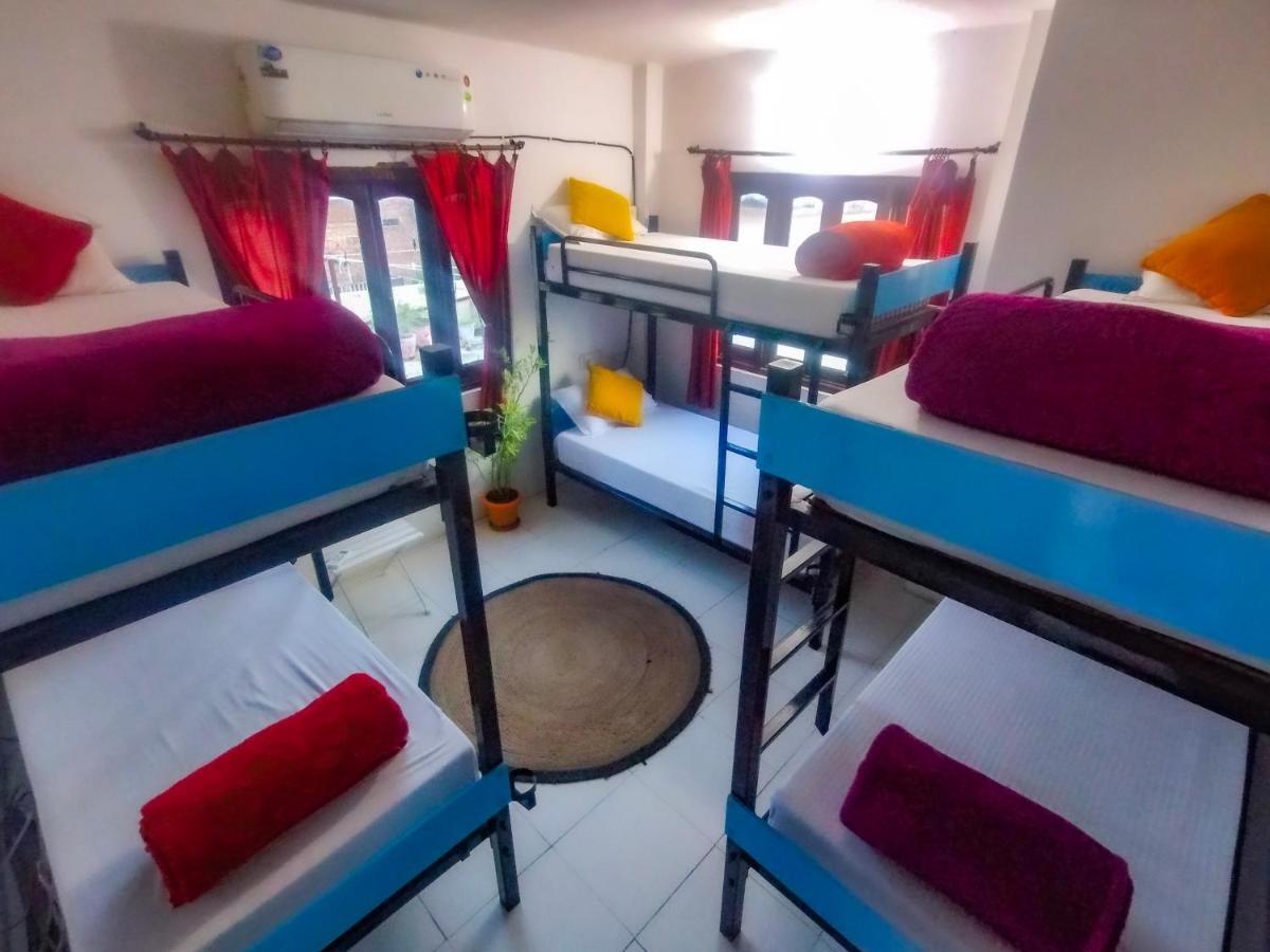 The Crawl Hostel Udaipur