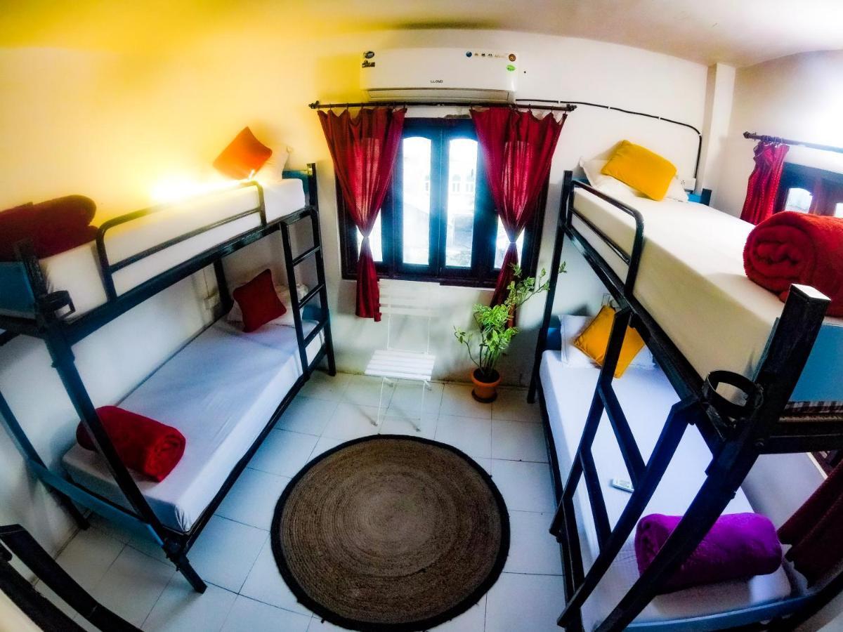 The Crawl Hostel *