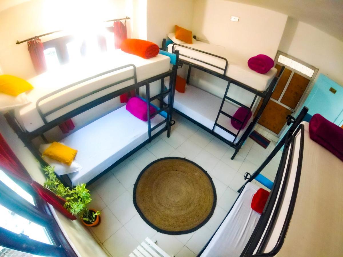 The Crawl Hostel Udaipur