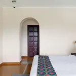 Yaan Udaipur