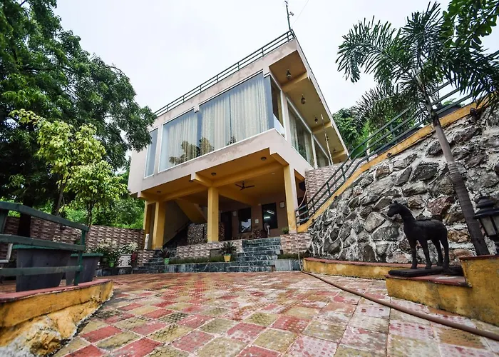 The Space Jungle Retreat