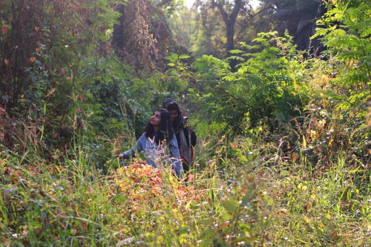 Campsite Dera Baghdarrah Nature Retreat Udaipur
