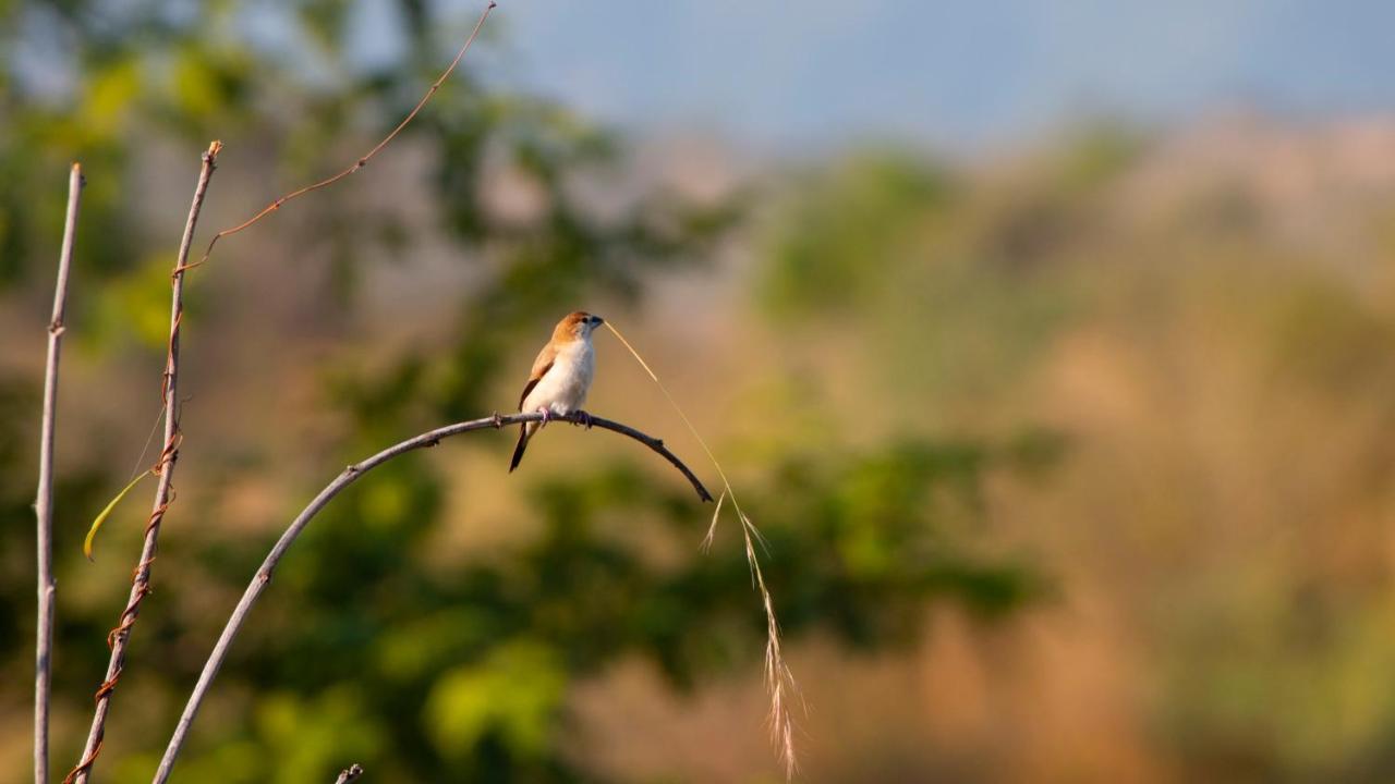 Campsite Dera Baghdarrah Nature Retreat
