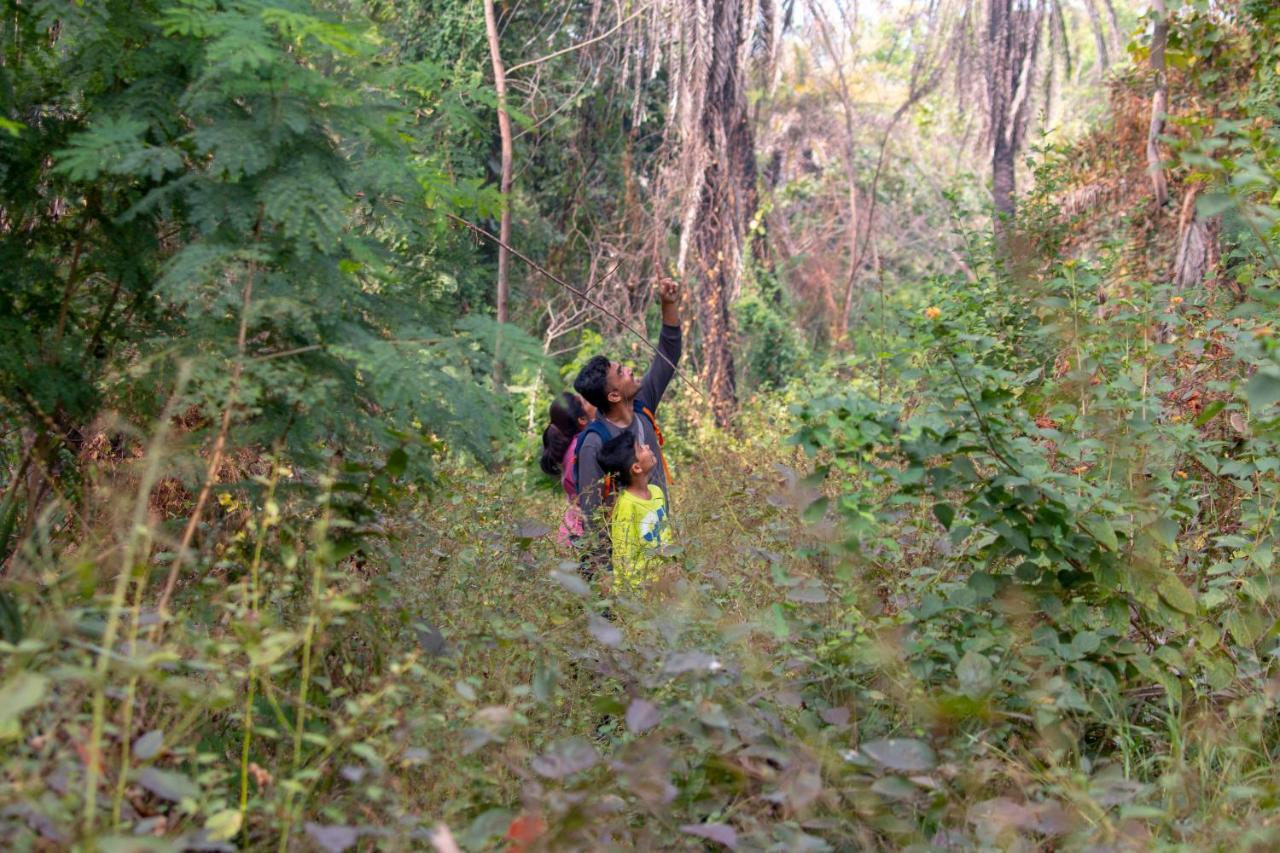 Dera Baghdarrah Nature Retreat 3*