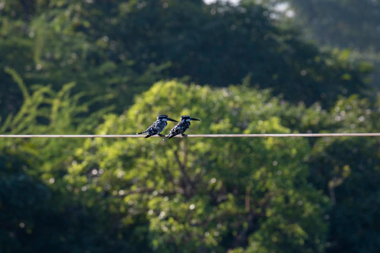 Dera Baghdarrah Nature Retreat 3* Udaipur