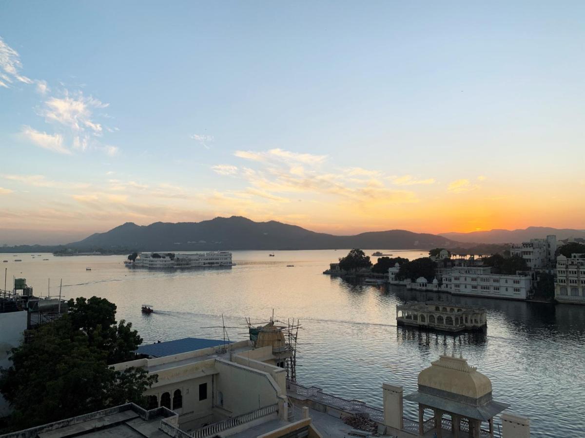 The Tiger Udaipur
