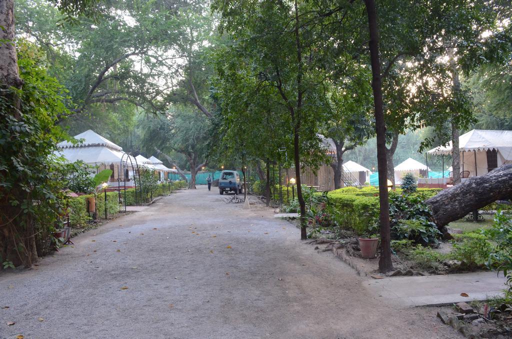 The Aravali Tent 3*