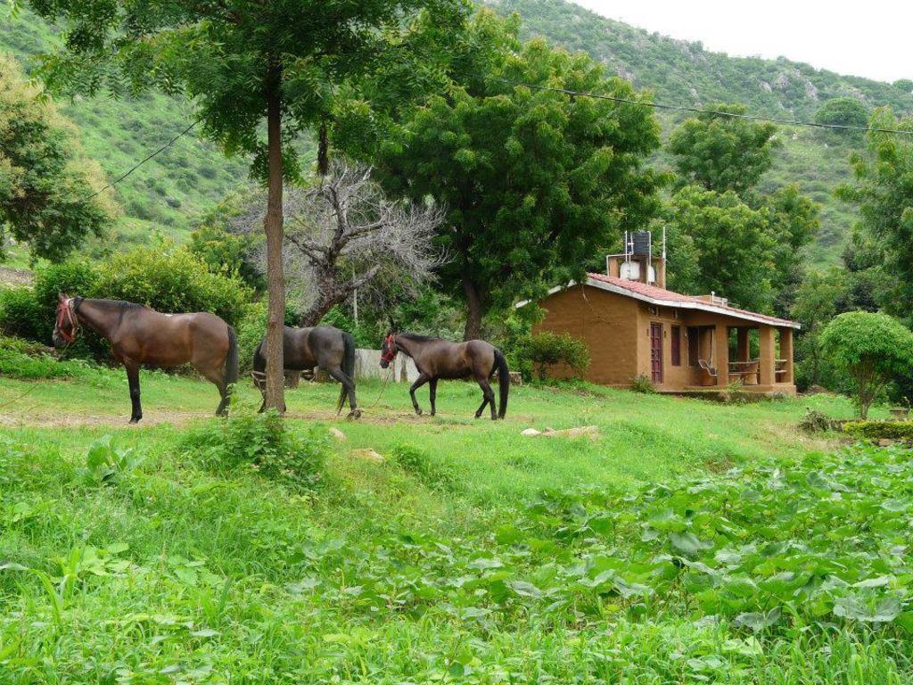 Farm stay Krishna Ranch Udaipur