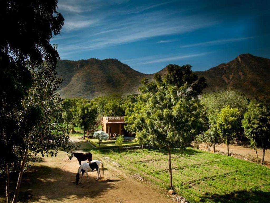 Krishna Ranch Udaipur