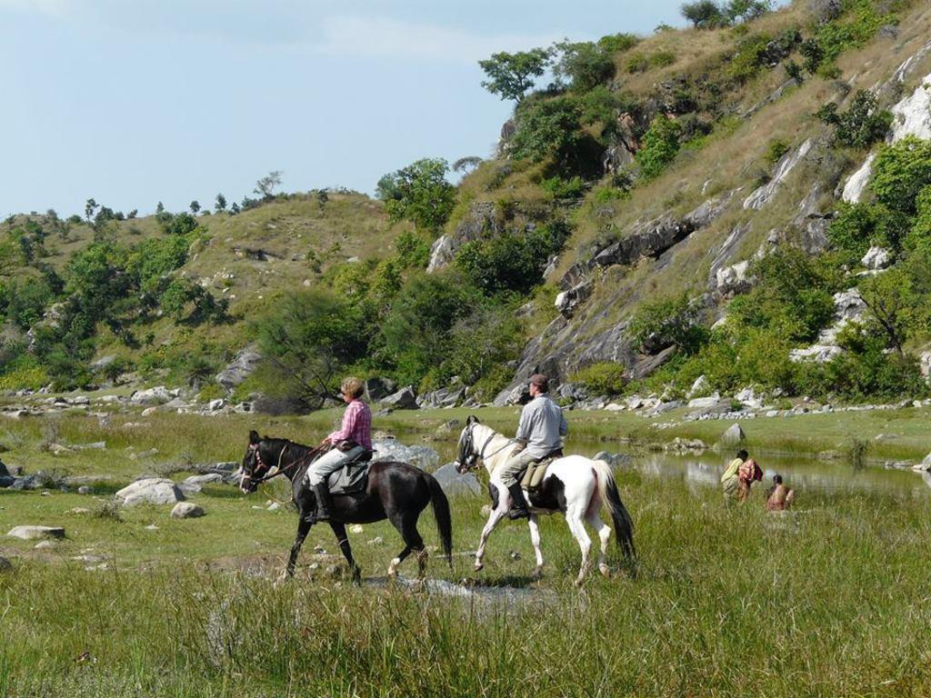 Krishna Ranch * Udaipur