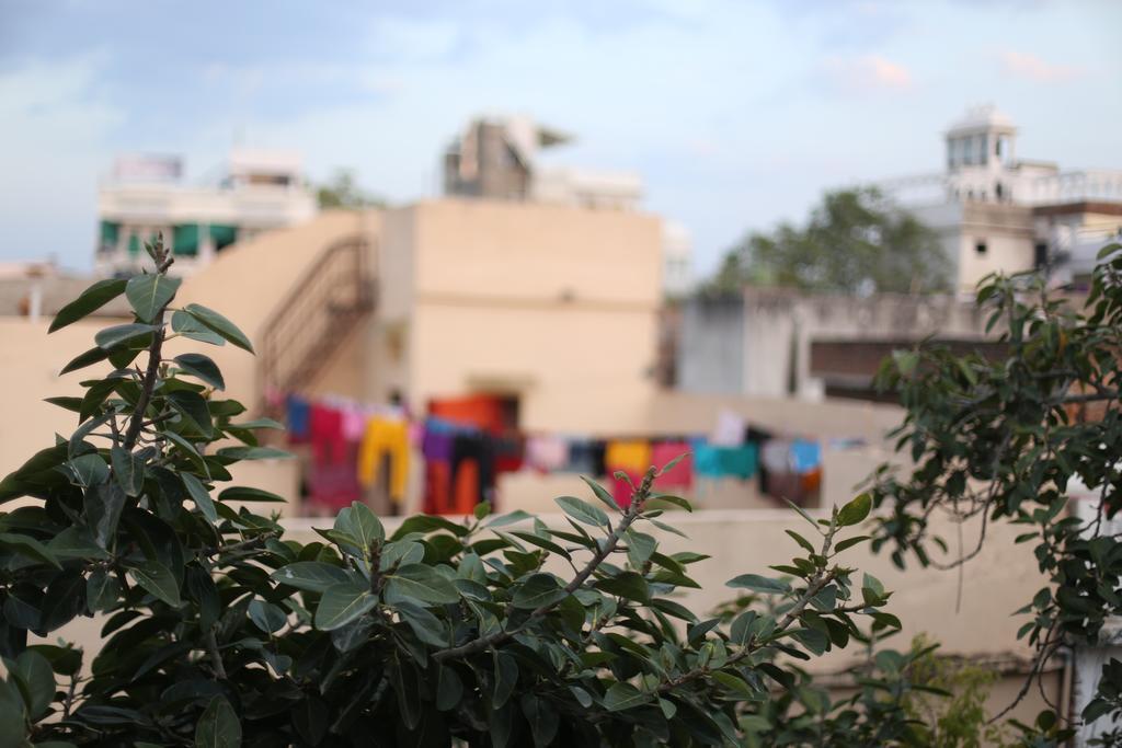 Lassi Udaipur