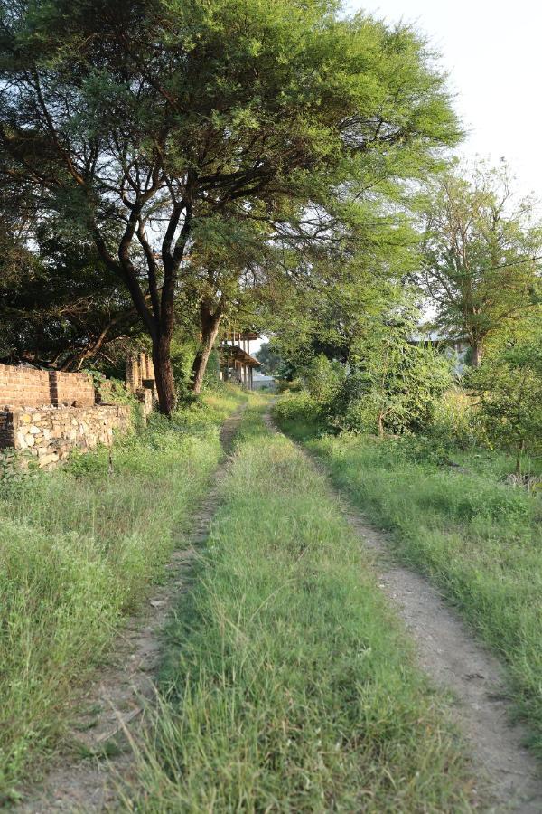 Vache Farm Udaipur