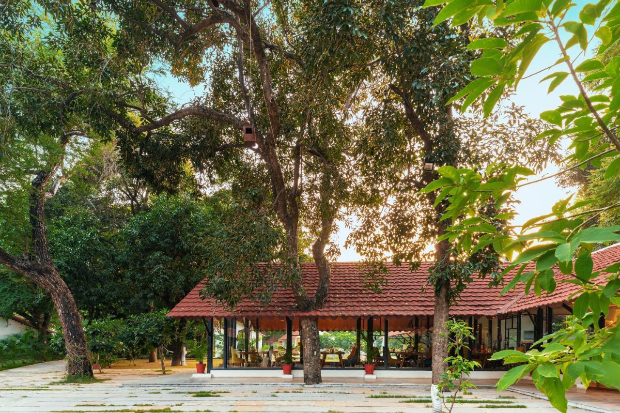 Aranya - A Nature 4*