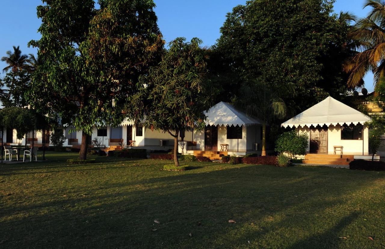 Shree Orchid - A Pichola Facing Resort Udaipur