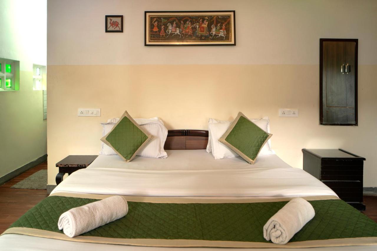 Girnar Udaipur