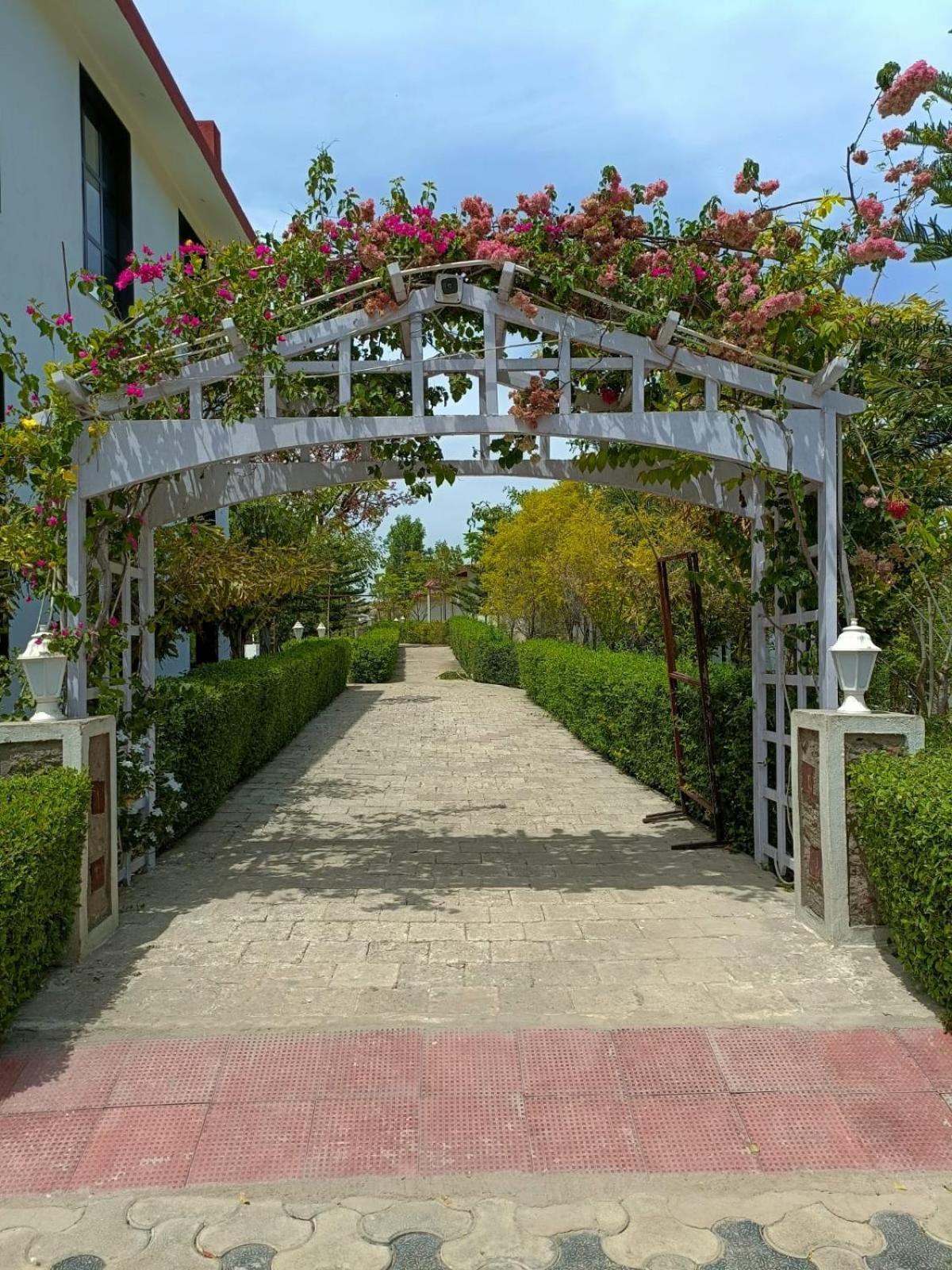 Resort The Highgarden