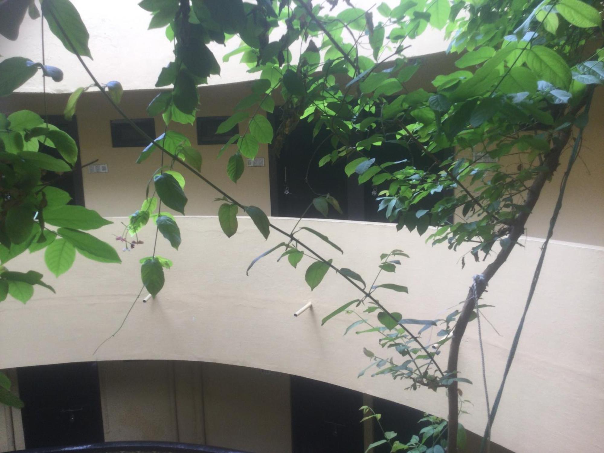 Mewar Guest house *