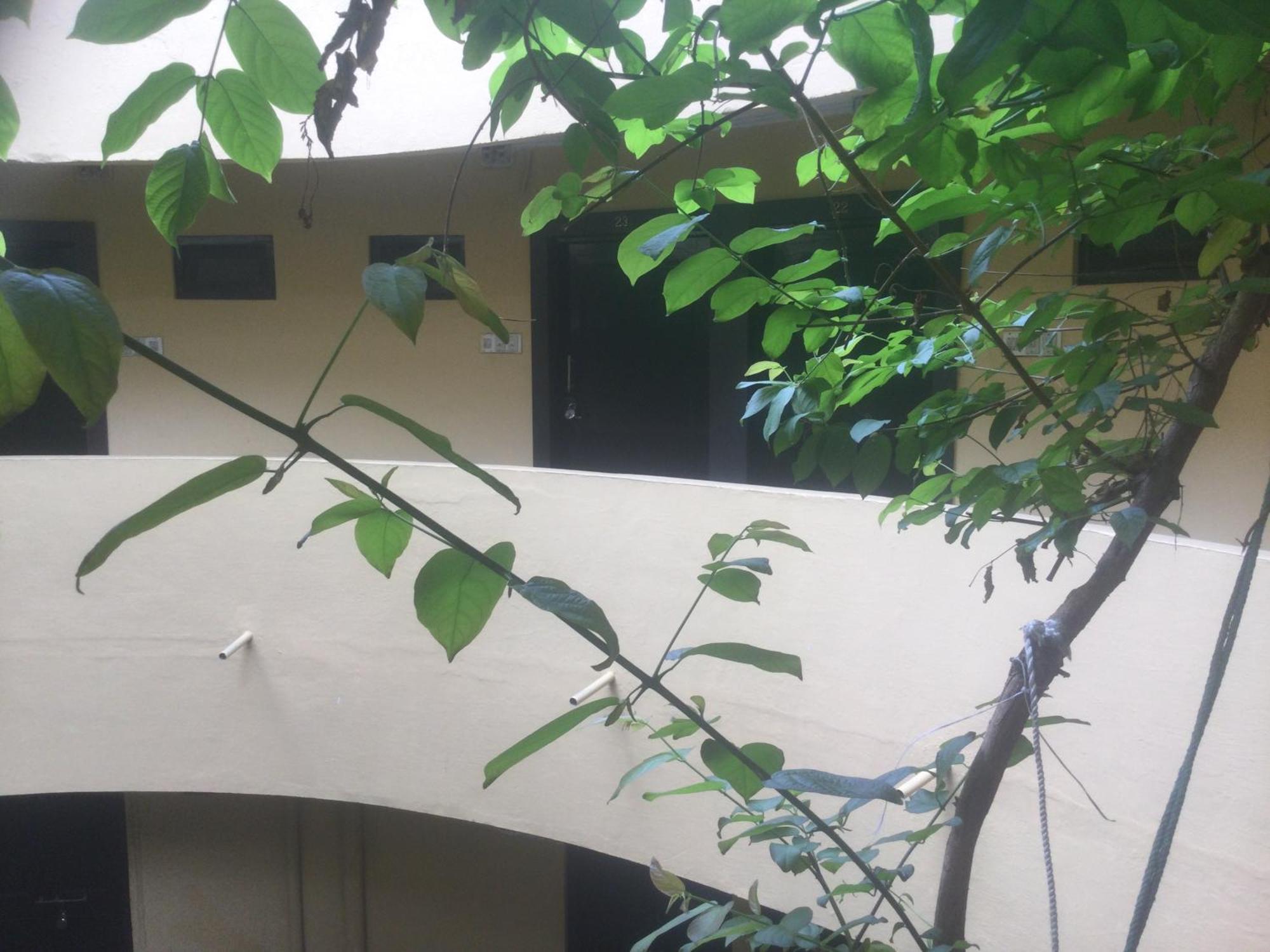 Guest house Mewar Udaipur