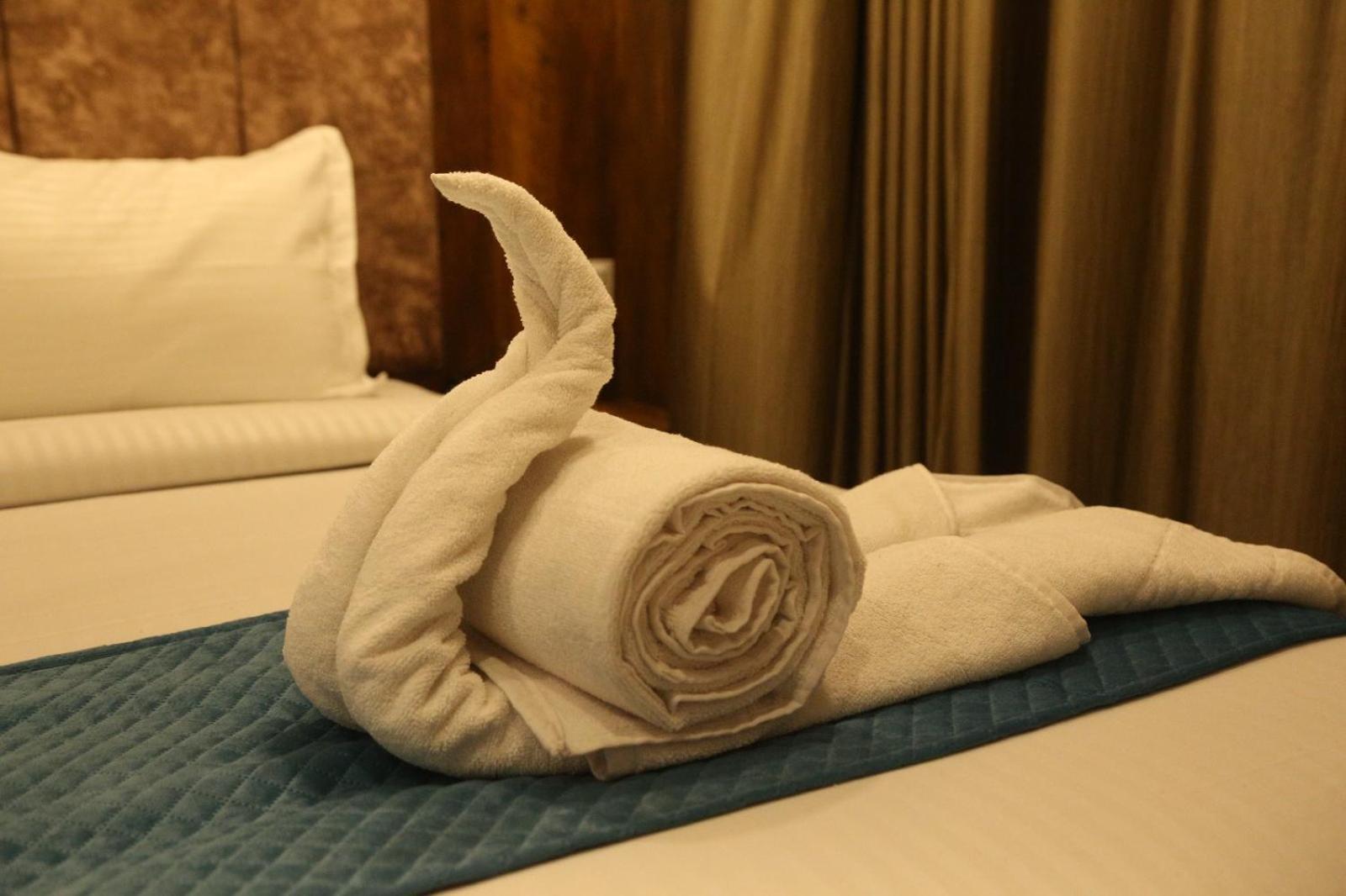 The Mountway Hotel Udaipur