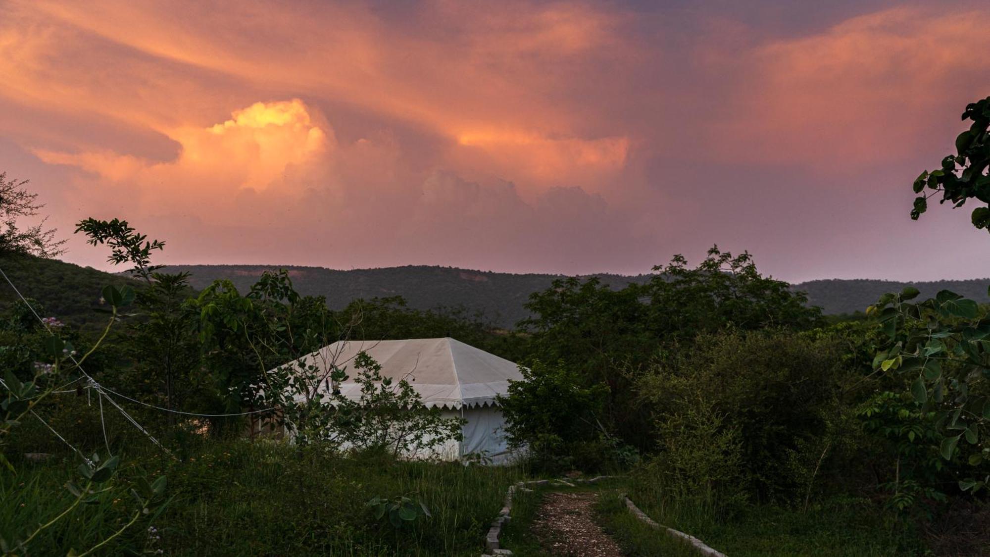 Campsite Dera Baghdarrah Nature Retreat Udaipur