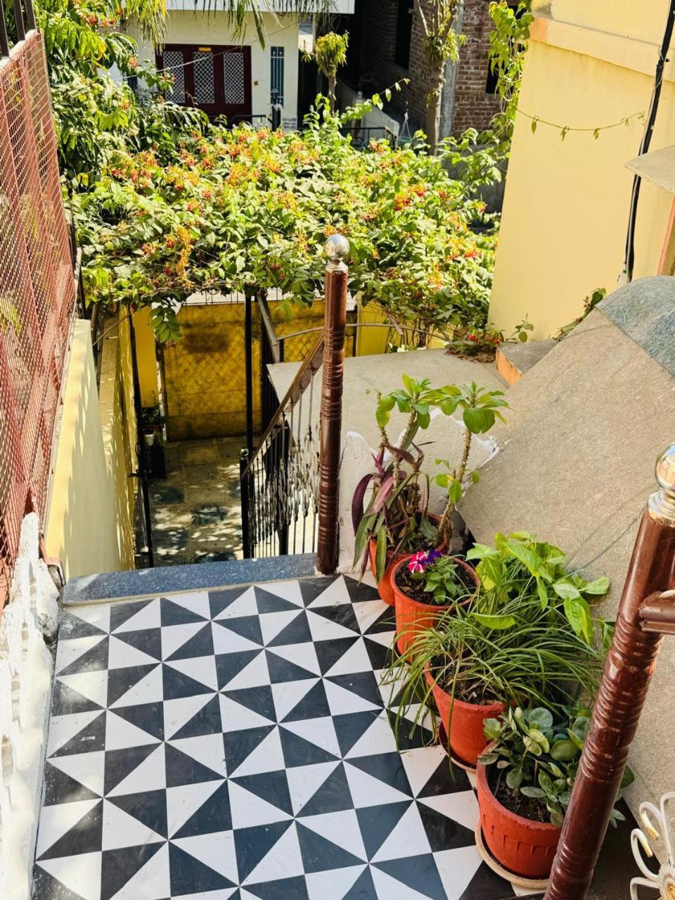 Lasani House Homestay Udaipur