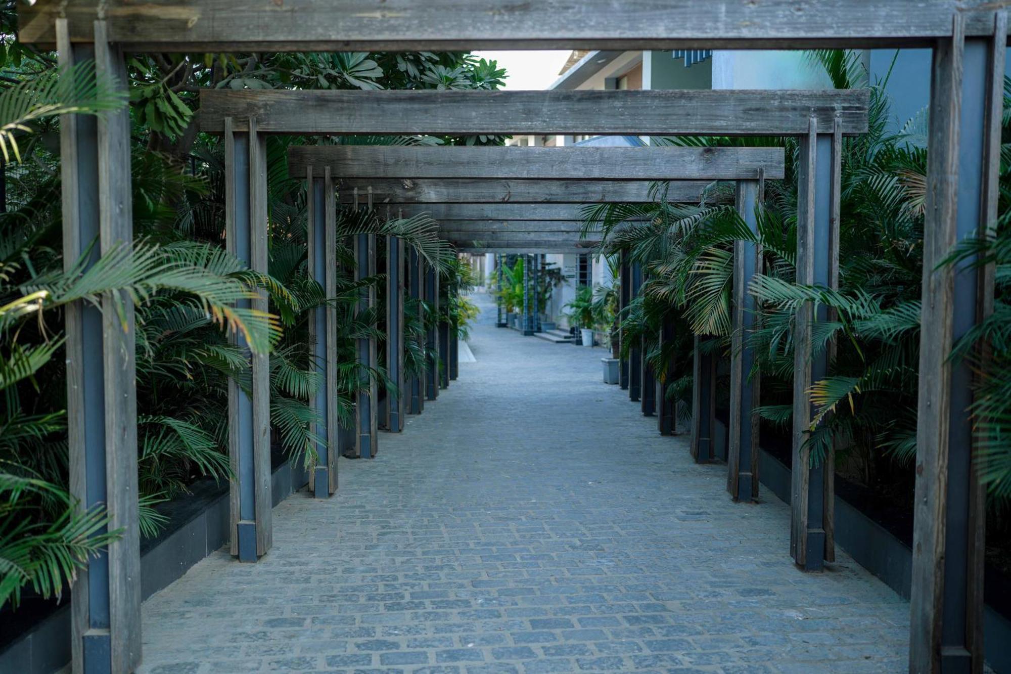 Medalio Shobhagpura Resort 4*