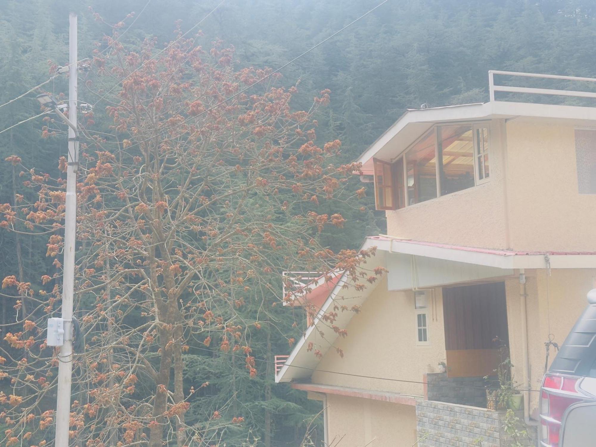 Hotel Shri Narayana Stays Udaipur #Top Rated #Near Bus Stand #Railway Station 4*