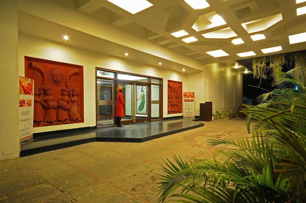 Golden Tulip