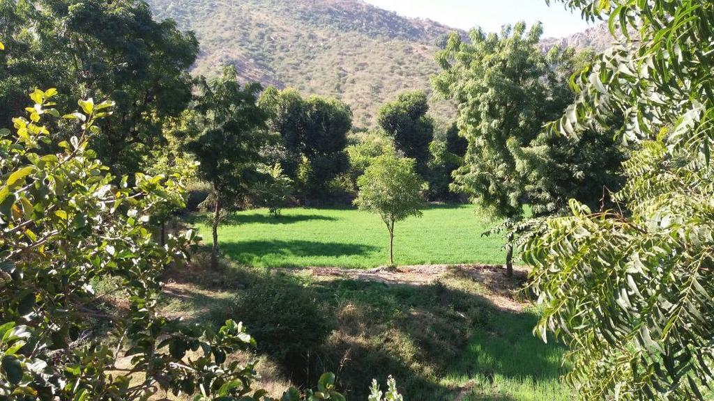 Farm stay Krishna Ranch Udaipur