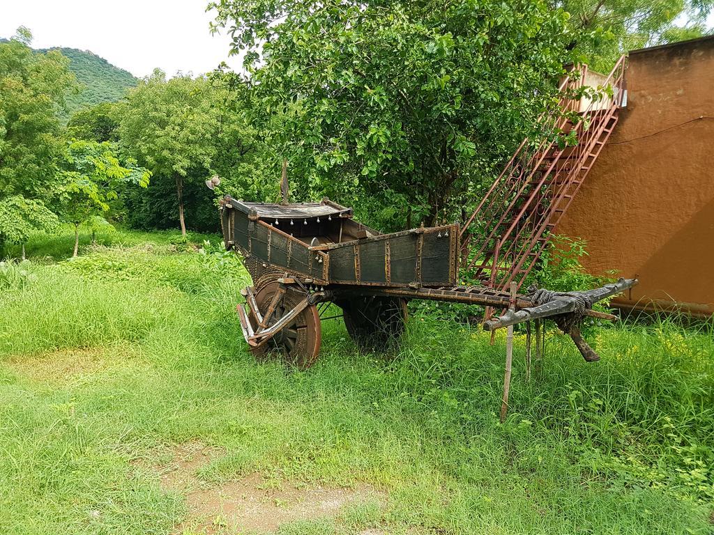 Farm stay Krishna Ranch